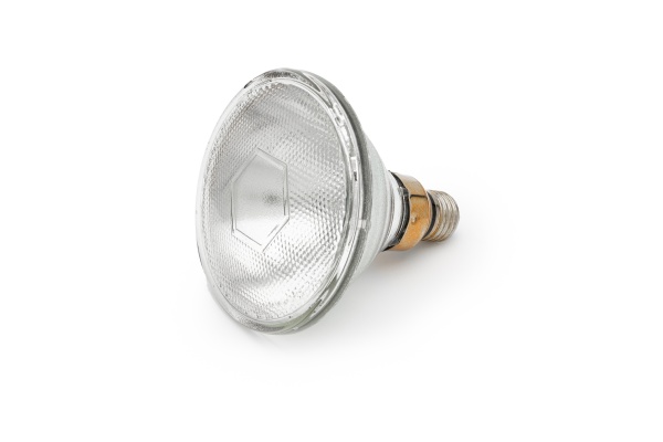 100 watt shop flood light bulb